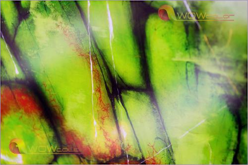 wowcolor-creama-bianco-114